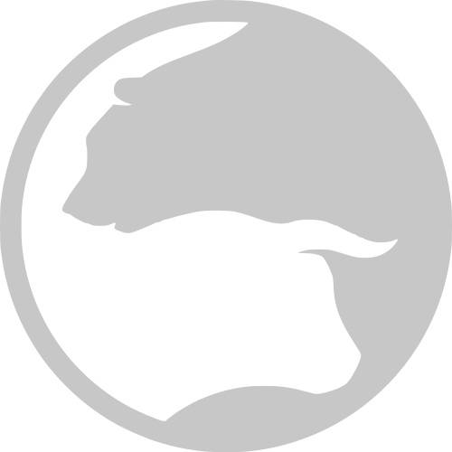 Bulls logo blanco